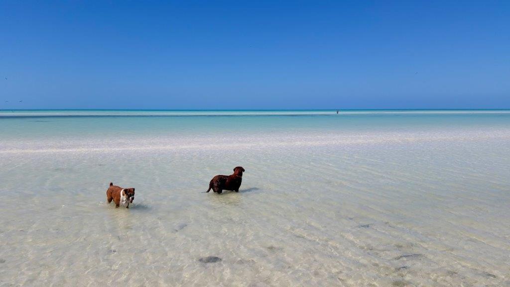 Mar de Holbox 